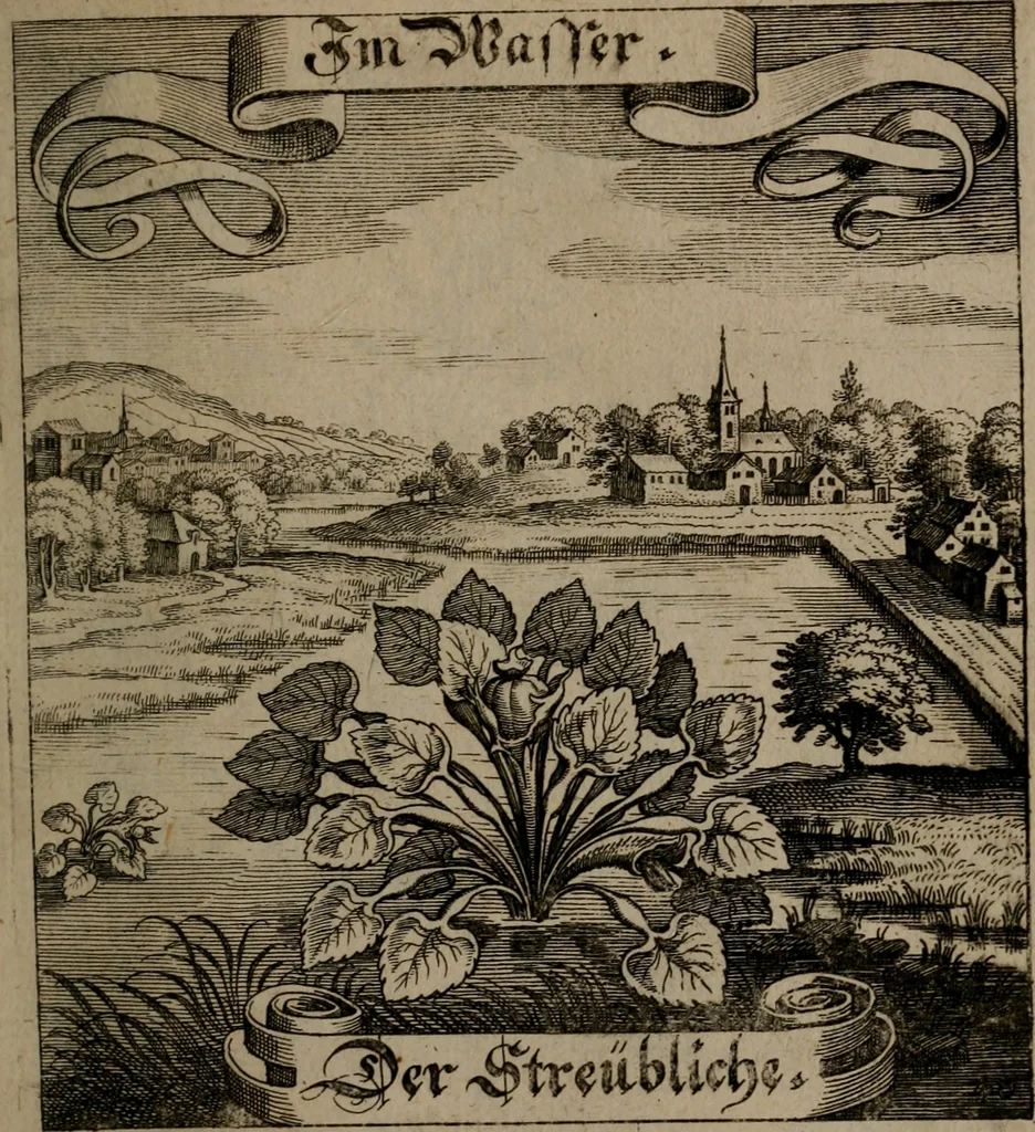 An illustration from Der Fruchtbringenden Geselschaft Nahmen, Vorhaben, Gemählde und Wörter : nach jedes Einnahme ordentlich in Kupfer gestochen, und in achtzeilige Reimgesetze verfasset, 1646, leaf 90