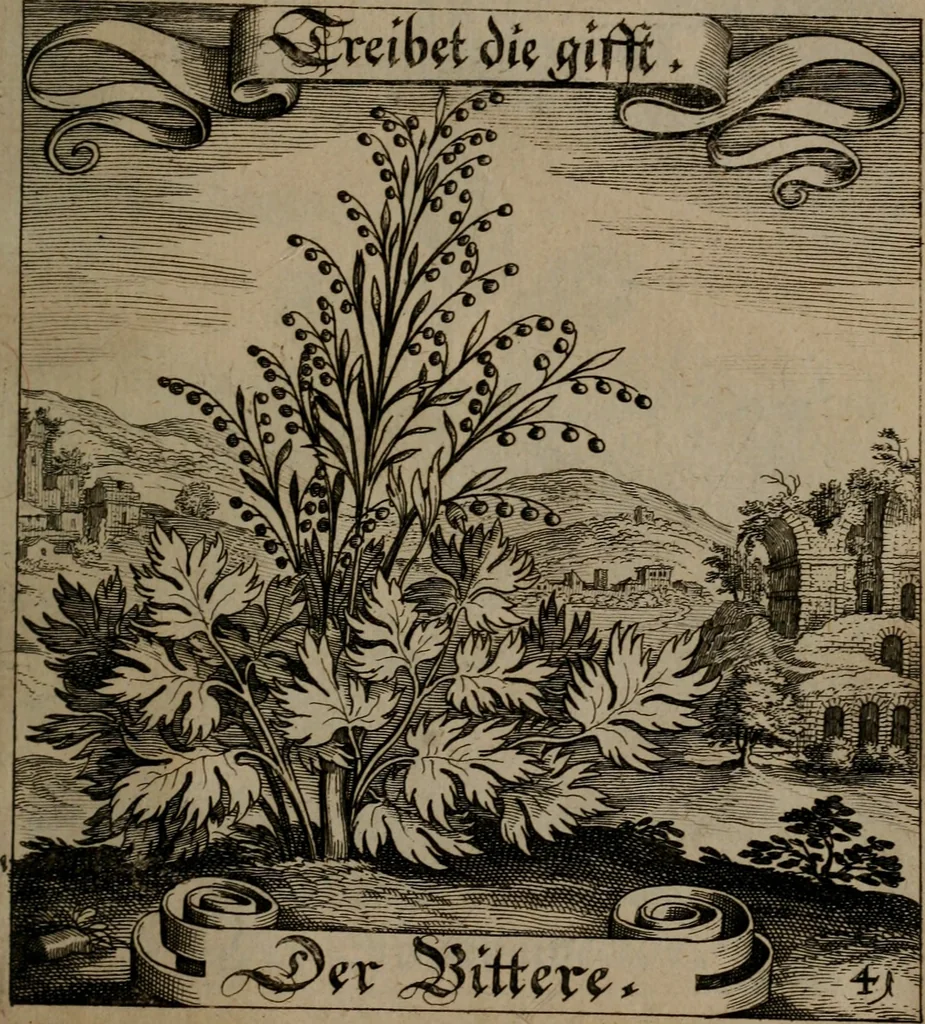 An illustration from Der Fruchtbringenden Geselschaft Nahmen, Vorhaben, Gemählde und Wörter : nach jedes Einnahme ordentlich in Kupfer gestochen, und in achtzeilige Reimgesetze verfasset, 1646, leaf 92