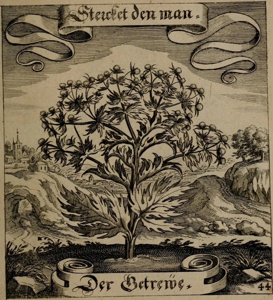 An illustration from Der Fruchtbringenden Geselschaft Nahmen, Vorhaben, Gemählde und Wörter : nach jedes Einnahme ordentlich in Kupfer gestochen, und in achtzeilige Reimgesetze verfasset, 1646, leaf 98