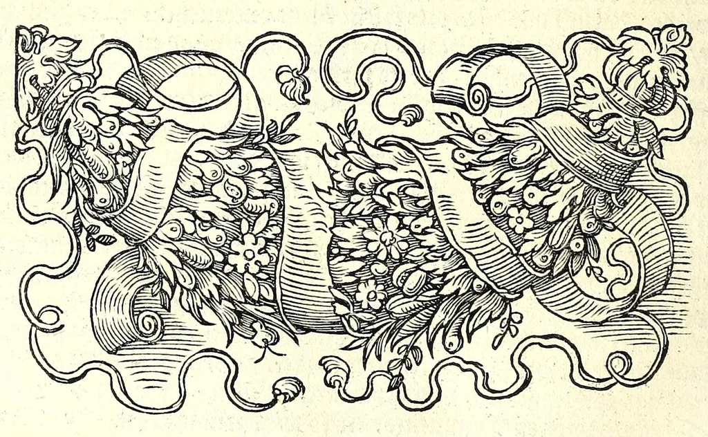 An illustration from Der furnembsten, notwendigsten, der gantzen Architectur angehörigen mathematischen vnd mechanischen Künst eygentlicher Bericht : vnd vast klare, verstendliche Vnterrichtung, zu rechtem Verstandt der Lehr Vitruuij, in drey furneme Bücher abgetheilet : als, Der newen Perspectiua ... : der Geometrischen Büxenmeisterey, vnd Geometrischen Messung ..., 1547, leaf 454