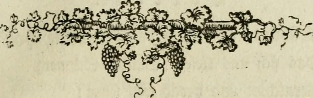 An illustration from Der gottseligen Frau La Mothe Guyon geisterhebende Beschäftigungen des Herzens mit Gott durch die lebendige Erfahrungs-Erkenntnis der göttlichen Liebe, oder, Die Geheimnisse des innwendigen Christenthums, geoffenbaret in der Schule der himmlischen Weisheit : Auszüge aus sämtlichen poetischen Schriften der seligen Frau, zur Beförderung des inneren Lebens, 1802, leaf 39