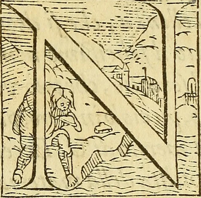 An illustration from De rimedi naturali che sono nell' isola di Pithecusa : hoggi detta Ischia libri due, 1588, leaf 15