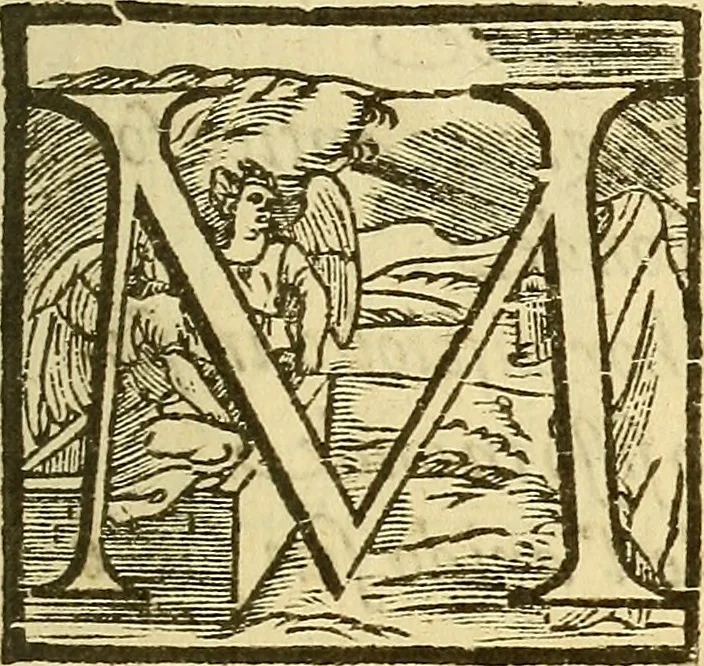 An illustration from De rimedi naturali che sono nell' isola di Pithecusa : hoggi detta Ischia libri due, 1588, leaf 16