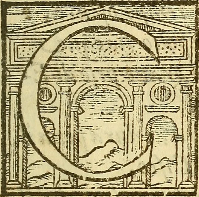 An illustration from De rimedi naturali che sono nell' isola di Pithecusa : hoggi detta Ischia libri due, 1588, leaf 18