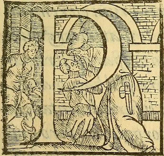 An illustration from De rimedi naturali che sono nell' isola di Pithecusa : hoggi detta Ischia libri due, 1588, leaf 186