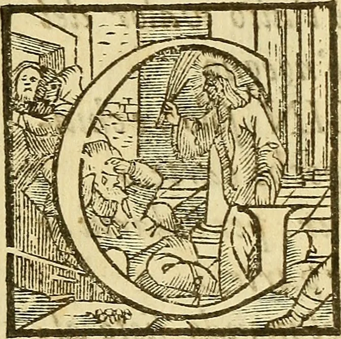An illustration from De rimedi naturali che sono nell' isola di Pithecusa : hoggi detta Ischia libri due, 1588, leaf 19