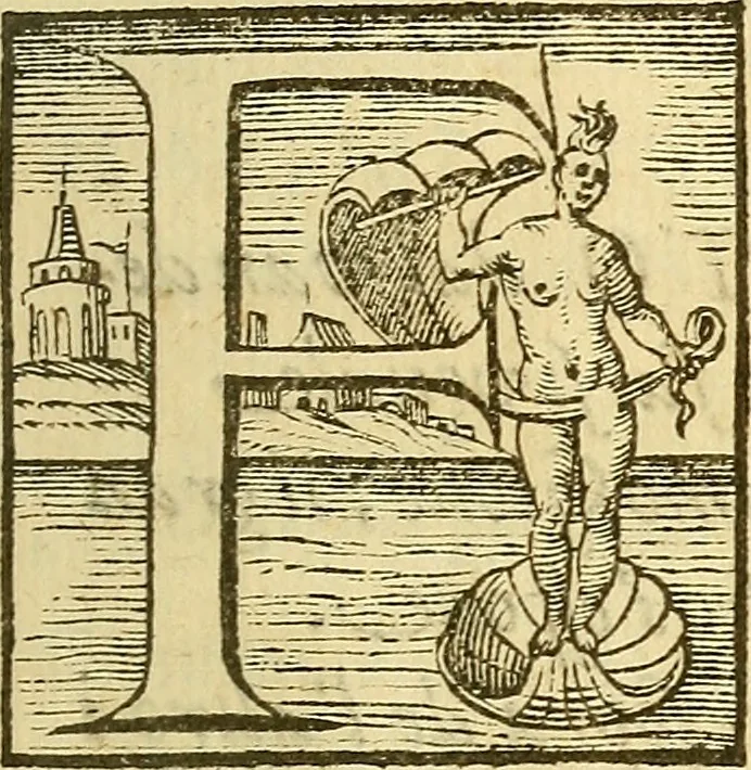 An illustration from De rimedi naturali che sono nell' isola di Pithecusa : hoggi detta Ischia libri due, 1588, leaf 20