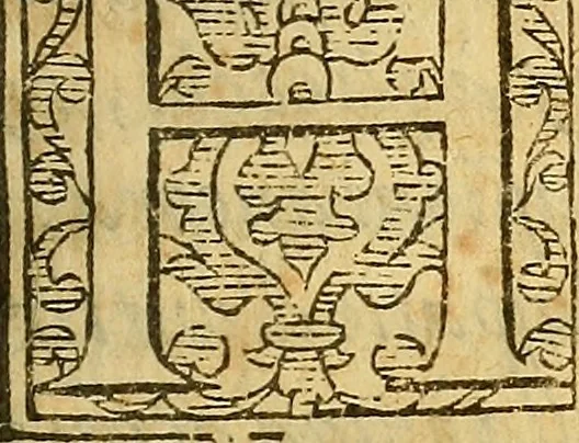 An illustration from De rimedi naturali che sono nell' isola di Pithecusa : hoggi detta Ischia libri due, 1588, leaf 256