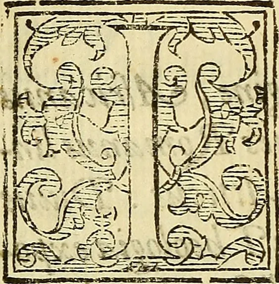 An illustration from De rimedi naturali che sono nell' isola di Pithecusa : hoggi detta Ischia libri due, 1588, leaf 29