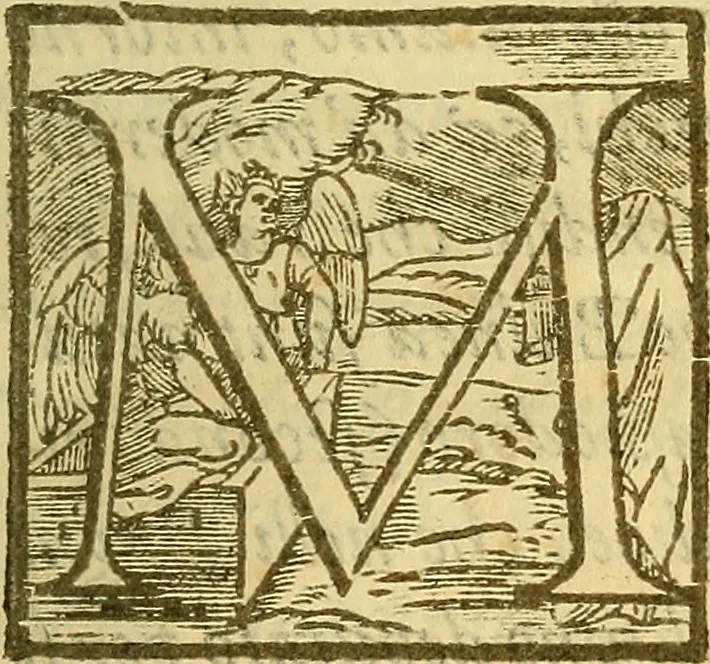An illustration from De rimedi naturali che sono nell' isola di Pithecusa : hoggi detta Ischia libri due, 1588, leaf 30