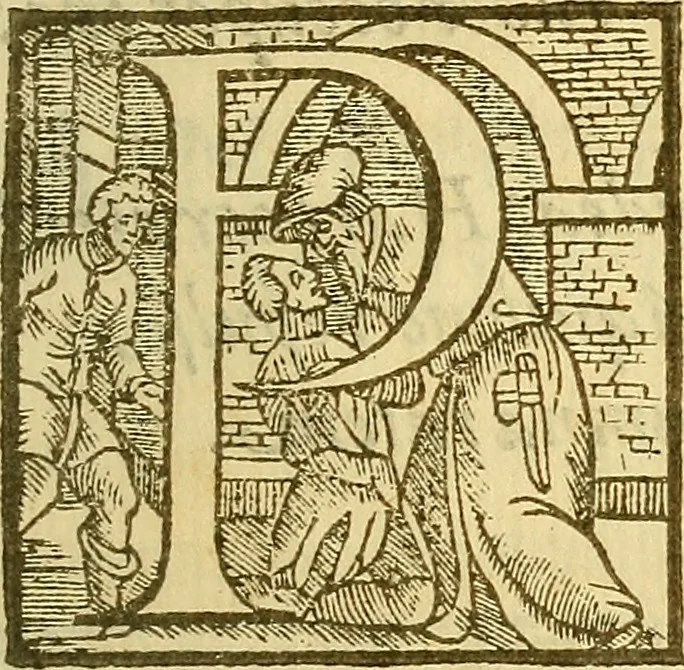 An illustration from De rimedi naturali che sono nell' isola di Pithecusa : hoggi detta Ischia libri due, 1588, leaf 36