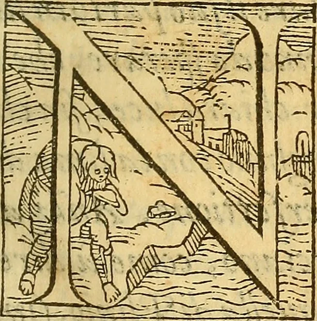 An illustration from De rimedi naturali che sono nell' isola di Pithecusa : hoggi detta Ischia libri due, 1588, leaf 38