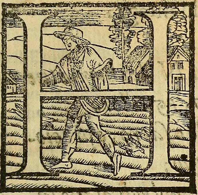An illustration from De rimedi naturali che sono nell' isola di Pithecusa : hoggi detta Ischia libri due, 1588, leaf 470