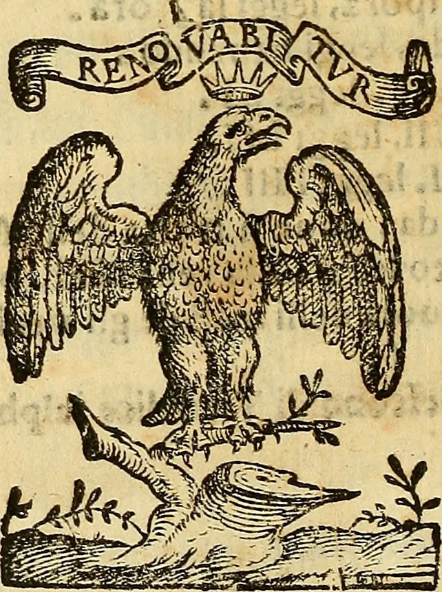 An illustration from De rimedi naturali che sono nell' isola di Pithecusa : hoggi detta Ischia libri due, 1588, leaf 473
