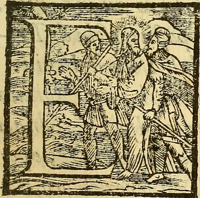 An illustration from De rimedi naturali che sono nell' isola di Pithecusa : hoggi detta Ischia libri due, 1588, leaf 54