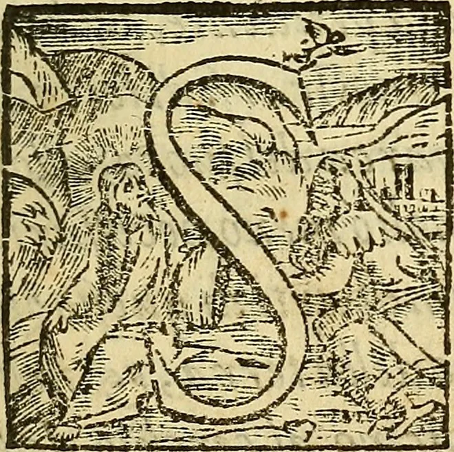 An illustration from De rimedi naturali che sono nell' isola di Pithecusa : hoggi detta Ischia libri due, 1588, leaf 8