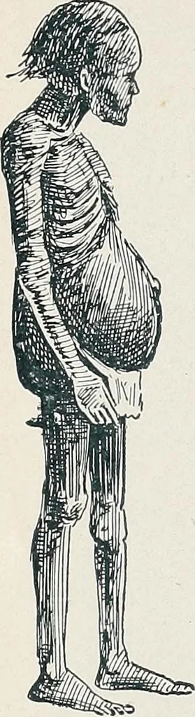 An illustration from Der kommende König .., 1899, leaf 134
