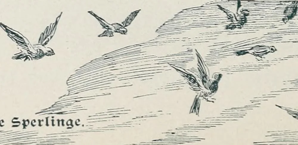 An illustration from Der kommende König .., 1899, leaf 138