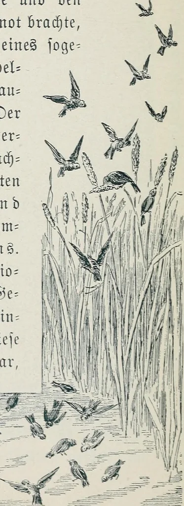 An illustration from Der kommende König .., 1899, leaf 138