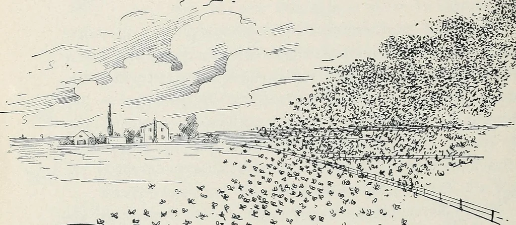 An illustration from Der kommende König .., 1899, leaf 140