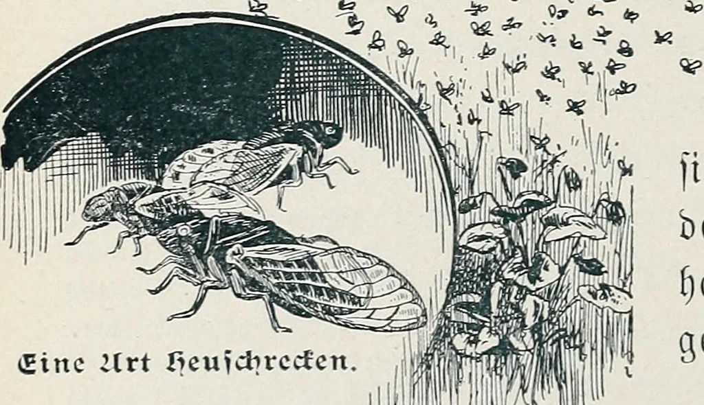 An illustration from Der kommende König .., 1899, leaf 140