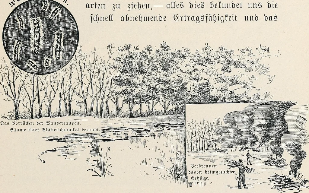 An illustration from Der kommende König .., 1899, leaf 141