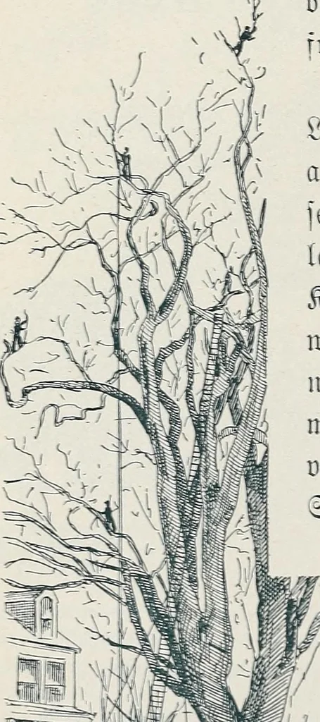 An illustration from Der kommende König .., 1899, leaf 142