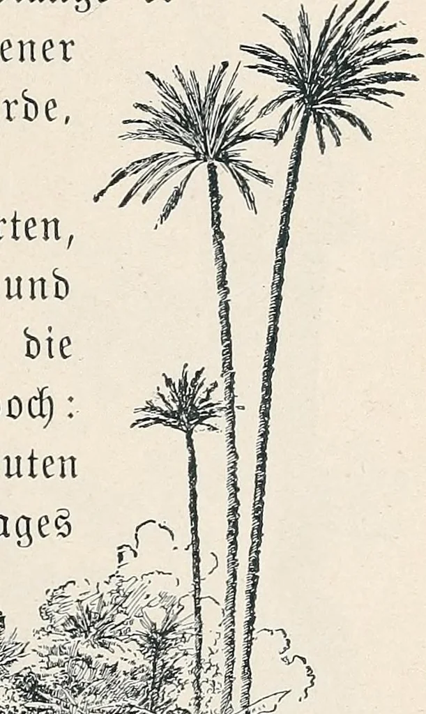 An illustration from Der kommende König .., 1899, leaf 21