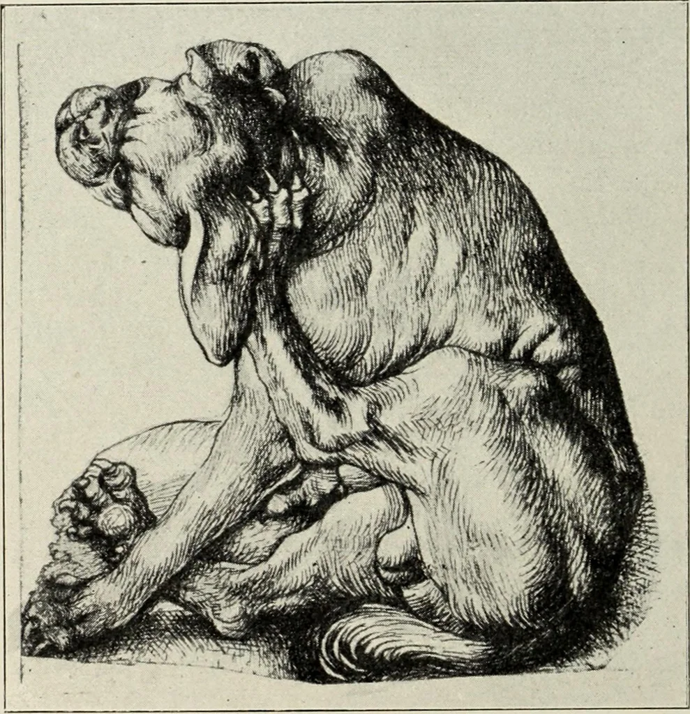 An illustration from Der Kupferstich, 1904, leaf 10