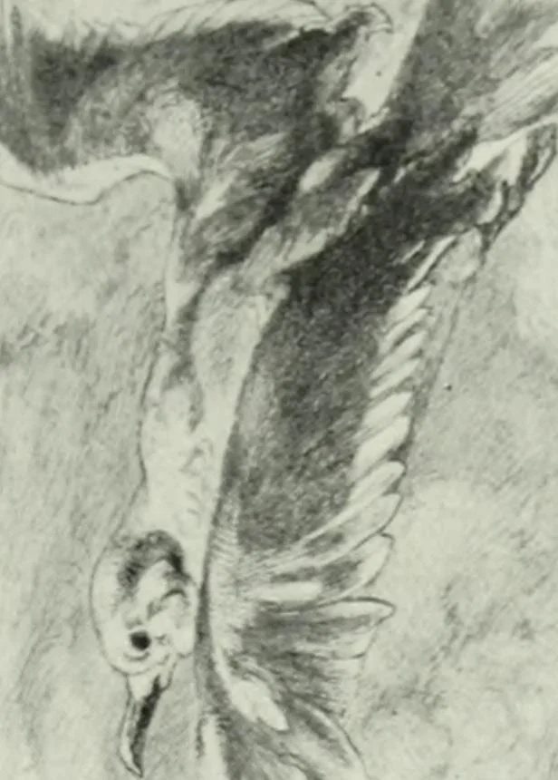 An illustration from Der Kupferstich, 1904, leaf 113