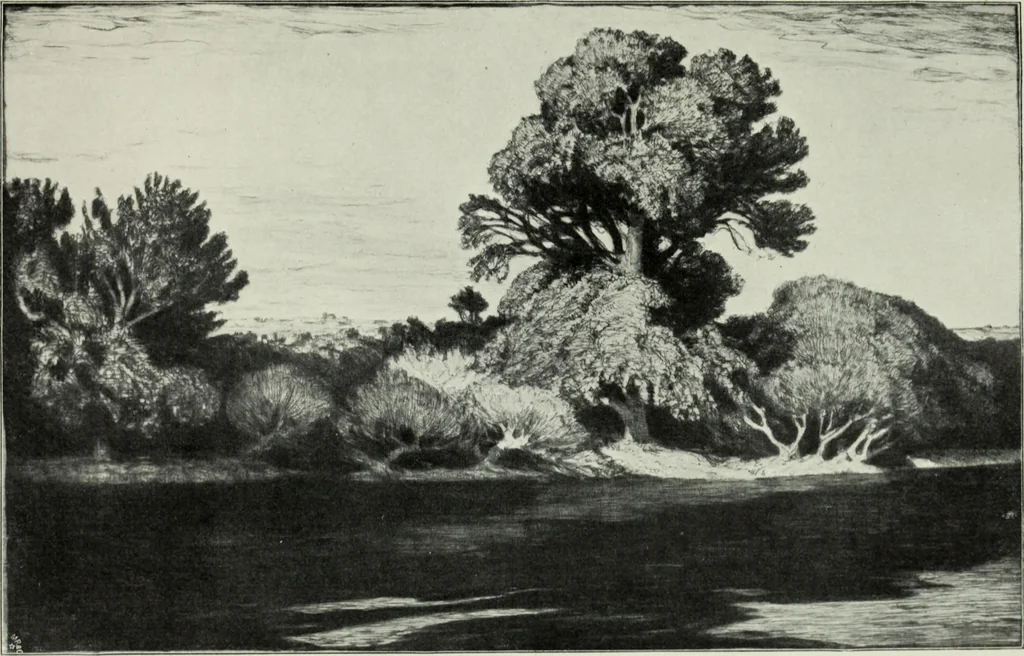 An illustration from Der Kupferstich, 1904, leaf 157