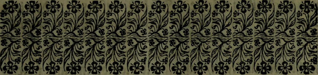 An illustration from Der nach Venedig überbrachte Mohr; oder, Curiose und wahrhaffte Erzehlung und Beschreibung aller Curiositäten und Denckwürdigkeiten, 1692, leaf 10