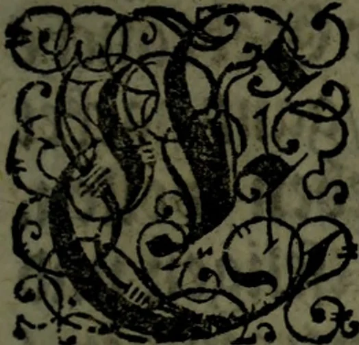 An illustration from Der nach Venedig überbrachte Mohr; oder, Curiose und wahrhaffte Erzehlung und Beschreibung aller Curiositäten und Denckwürdigkeiten, 1692, leaf 10