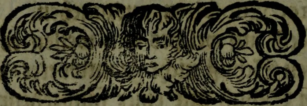 An illustration from Der nach Venedig überbrachte Mohr; oder, Curiose und wahrhaffte Erzehlung und Beschreibung aller Curiositäten und Denckwürdigkeiten, 1692, leaf 109
