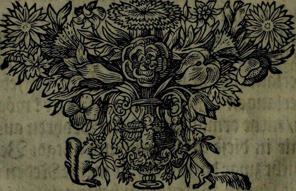 An illustration from Der nach Venedig überbrachte Mohr; oder, Curiose und wahrhaffte Erzehlung und Beschreibung aller Curiositäten und Denckwürdigkeiten, 1692, leaf 11
