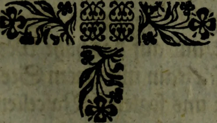 An illustration from Der nach Venedig überbrachte Mohr; oder, Curiose und wahrhaffte Erzehlung und Beschreibung aller Curiositäten und Denckwürdigkeiten, 1692, leaf 112