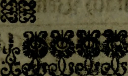 An illustration from Der nach Venedig überbrachte Mohr; oder, Curiose und wahrhaffte Erzehlung und Beschreibung aller Curiositäten und Denckwürdigkeiten, 1692, leaf 12