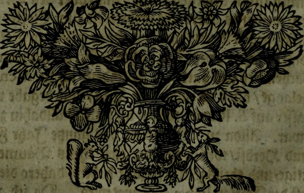 An illustration from Der nach Venedig überbrachte Mohr; oder, Curiose und wahrhaffte Erzehlung und Beschreibung aller Curiositäten und Denckwürdigkeiten, 1692, leaf 139