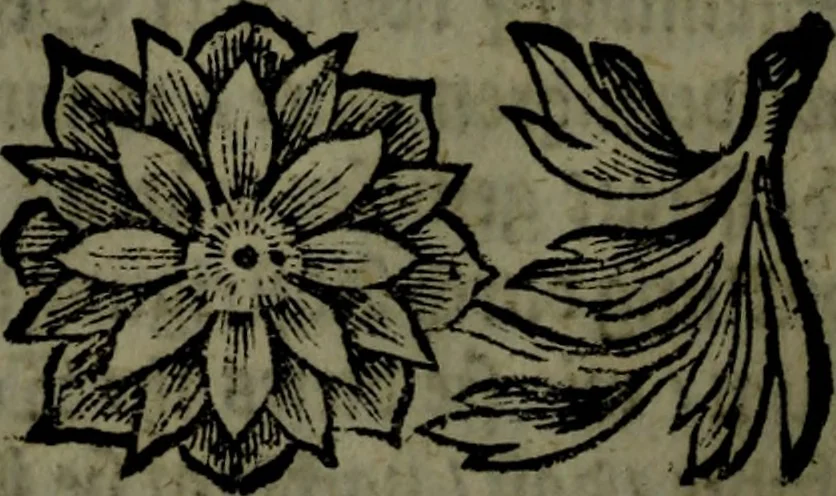 An illustration from Der nach Venedig überbrachte Mohr; oder, Curiose und wahrhaffte Erzehlung und Beschreibung aller Curiositäten und Denckwürdigkeiten, 1692, leaf 155