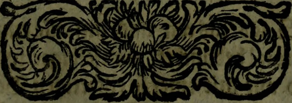 An illustration from Der nach Venedig überbrachte Mohr; oder, Curiose und wahrhaffte Erzehlung und Beschreibung aller Curiositäten und Denckwürdigkeiten, 1692, leaf 16