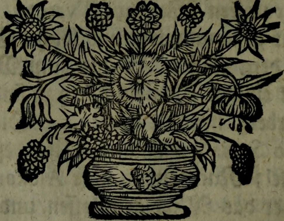 An illustration from Der nach Venedig überbrachte Mohr; oder, Curiose und wahrhaffte Erzehlung und Beschreibung aller Curiositäten und Denckwürdigkeiten, 1692, leaf 173