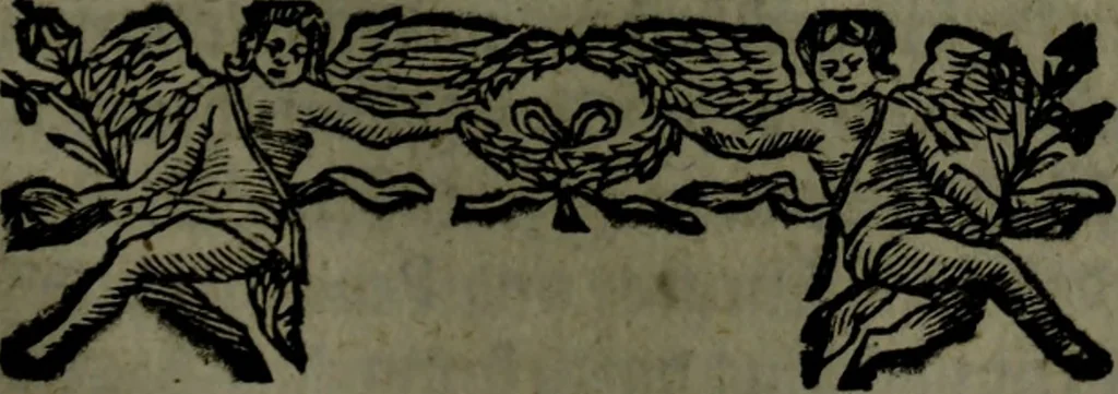 An illustration from Der nach Venedig überbrachte Mohr; oder, Curiose und wahrhaffte Erzehlung und Beschreibung aller Curiositäten und Denckwürdigkeiten, 1692, leaf 178