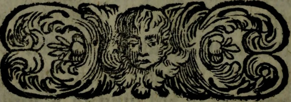An illustration from Der nach Venedig überbrachte Mohr; oder, Curiose und wahrhaffte Erzehlung und Beschreibung aller Curiositäten und Denckwürdigkeiten, 1692, leaf 183