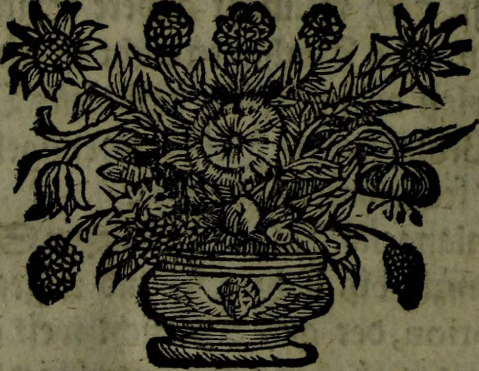 An illustration from Der nach Venedig überbrachte Mohr; oder, Curiose und wahrhaffte Erzehlung und Beschreibung aller Curiositäten und Denckwürdigkeiten, 1692, leaf 261