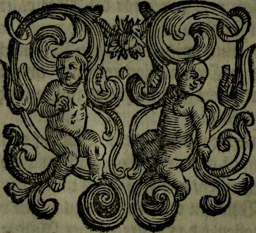 An illustration from Der nach Venedig überbrachte Mohr; oder, Curiose und wahrhaffte Erzehlung und Beschreibung aller Curiositäten und Denckwürdigkeiten, 1692, leaf 277