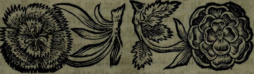 An illustration from Der nach Venedig überbrachte Mohr; oder, Curiose und wahrhaffte Erzehlung und Beschreibung aller Curiositäten und Denckwürdigkeiten, 1692, leaf 282