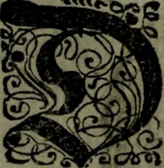 An illustration from Der nach Venedig überbrachte Mohr; oder, Curiose und wahrhaffte Erzehlung und Beschreibung aller Curiositäten und Denckwürdigkeiten, 1692, leaf 283