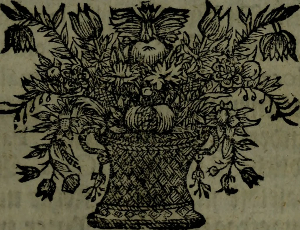 An illustration from Der nach Venedig überbrachte Mohr; oder, Curiose und wahrhaffte Erzehlung und Beschreibung aller Curiositäten und Denckwürdigkeiten, 1692, leaf 312
