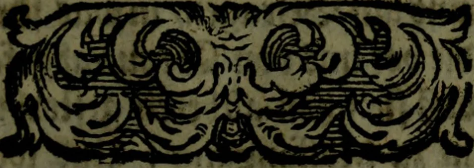 An illustration from Der nach Venedig überbrachte Mohr; oder, Curiose und wahrhaffte Erzehlung und Beschreibung aller Curiositäten und Denckwürdigkeiten, 1692, leaf 42