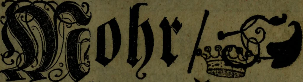 An illustration from Der nach Venedig überbrachte Mohr; oder, Curiose und wahrhaffte Erzehlung und Beschreibung aller Curiositäten und Denckwürdigkeiten, 1692, leaf 6